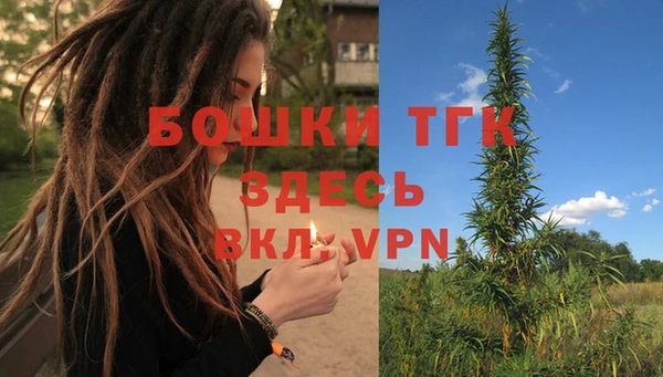 мдпв Лагань