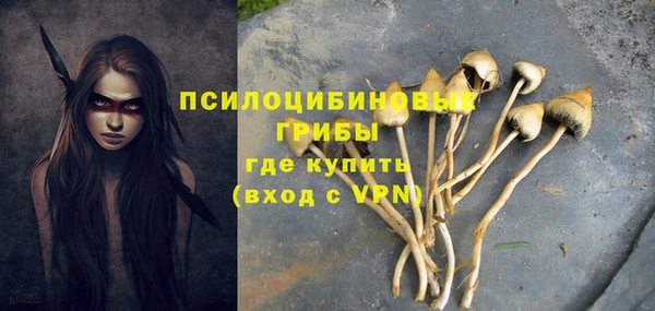 MDMA Premium VHQ Ладушкин